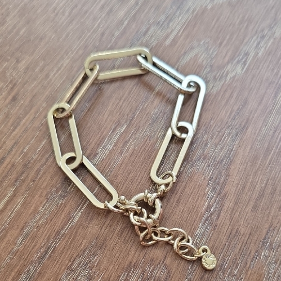 BaubleBar Gold Chain Link Bracelet - Picture 1 of 1
